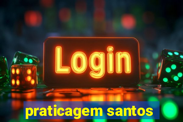 praticagem santos